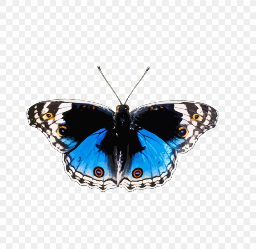 Brush-footed Butterflies Butterfly Butterflies And Bullets: Poetry, Essays And Musings Insect Animal, PNG, 2500x2433px, Brushfooted Butterflies, Animal, Arthropod, Brush Footed Butterfly, Butterflies And Moths Download Free
