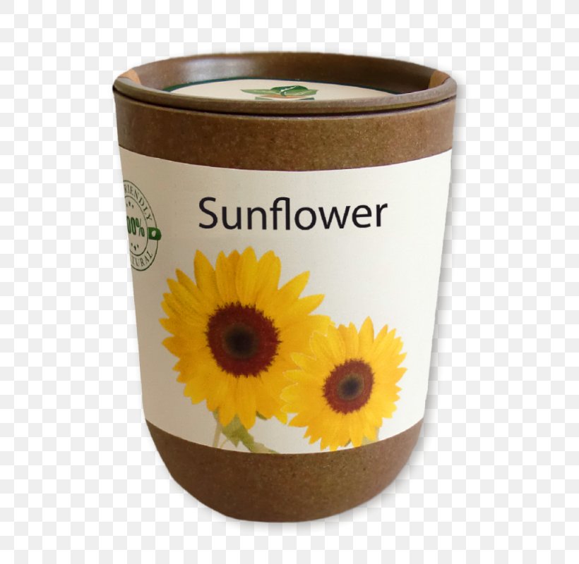 Common Sunflower Seed Blume Artgerecht, PNG, 800x800px, Common Sunflower, Advertising, Blume, Ecology, Flower Download Free