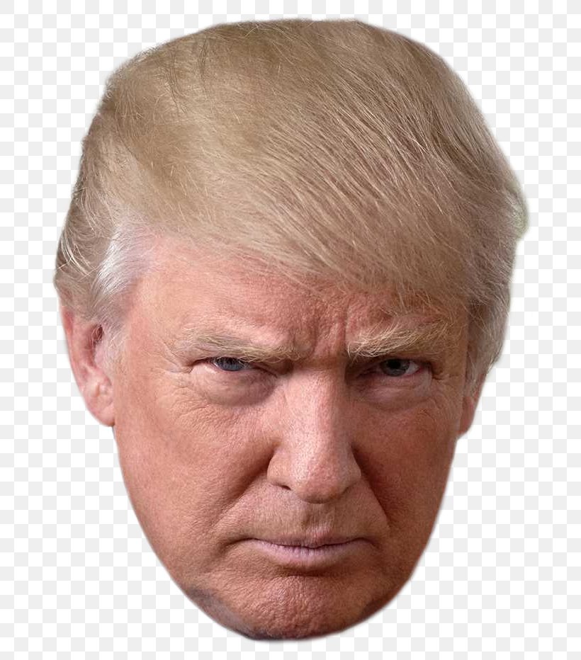 Donald Trump Crippled America United States Make America Great Again Time To Get Tough: Making America #1 Again, PNG, 722x932px, Donald Trump, America First, Cheek, Chin, Close Up Download Free