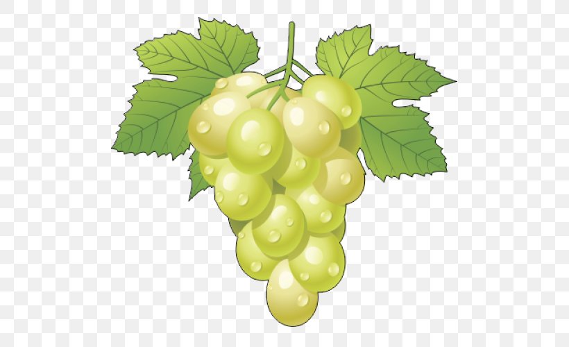 Kyoho Grape Leaves Clip Art, PNG, 500x500px, Kyoho, Berry, Common Grape Vine, Food, Fruit Download Free