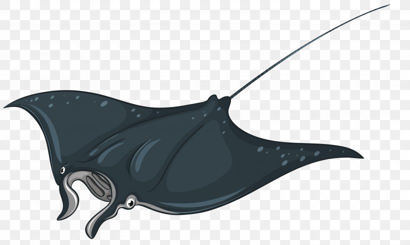 Myliobatoidei Royalty-free Clip Art, PNG, 3000x1793px, Myliobatoidei, Bat, Batoidea, Devil Fish, Giant Oceanic Manta Ray Download Free