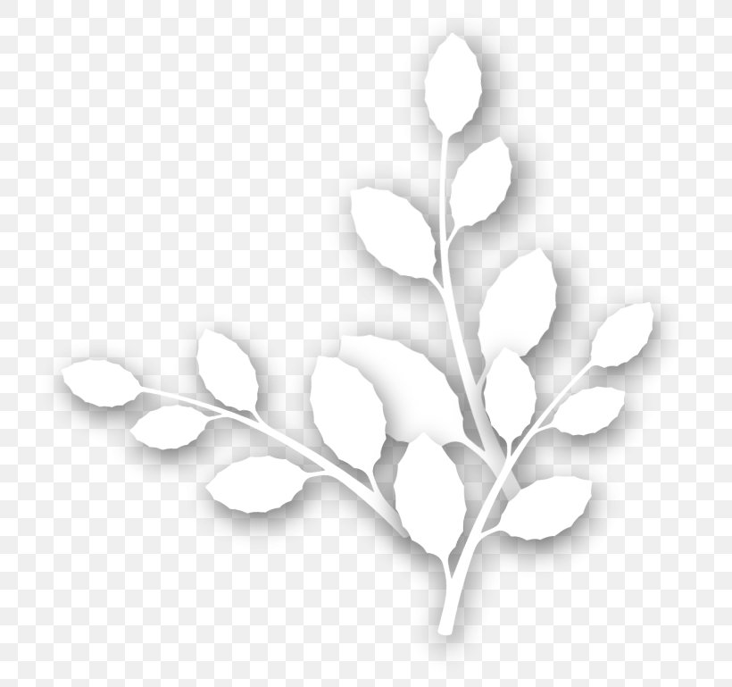 Leaf Petal, PNG, 755x769px, Leaf, Black And White, Branch, Monochrome, Monochrome Photography Download Free