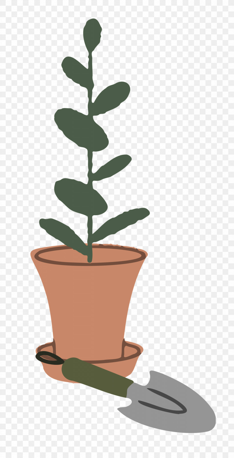 Leaf Plant Stem Flowerpot Tree Plant, PNG, 1281x2500px, Leaf, Biology, Flowerpot, Plant, Plant Stem Download Free