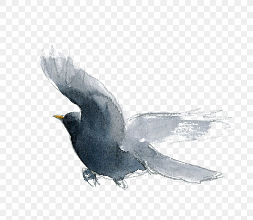 American Crow Bird Eurasian Magpie Beak Common Raven, PNG, 1378x1200px, American Crow, American Sparrows, Beak, Bird, Common Blackbird Download Free