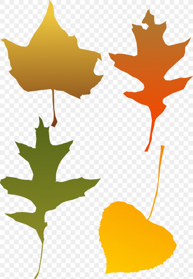 Autumn Leaf Color Clip Art, PNG, 1656x2400px, Autumn, Autumn Leaf Color, Branch, Color, Flowering Plant Download Free