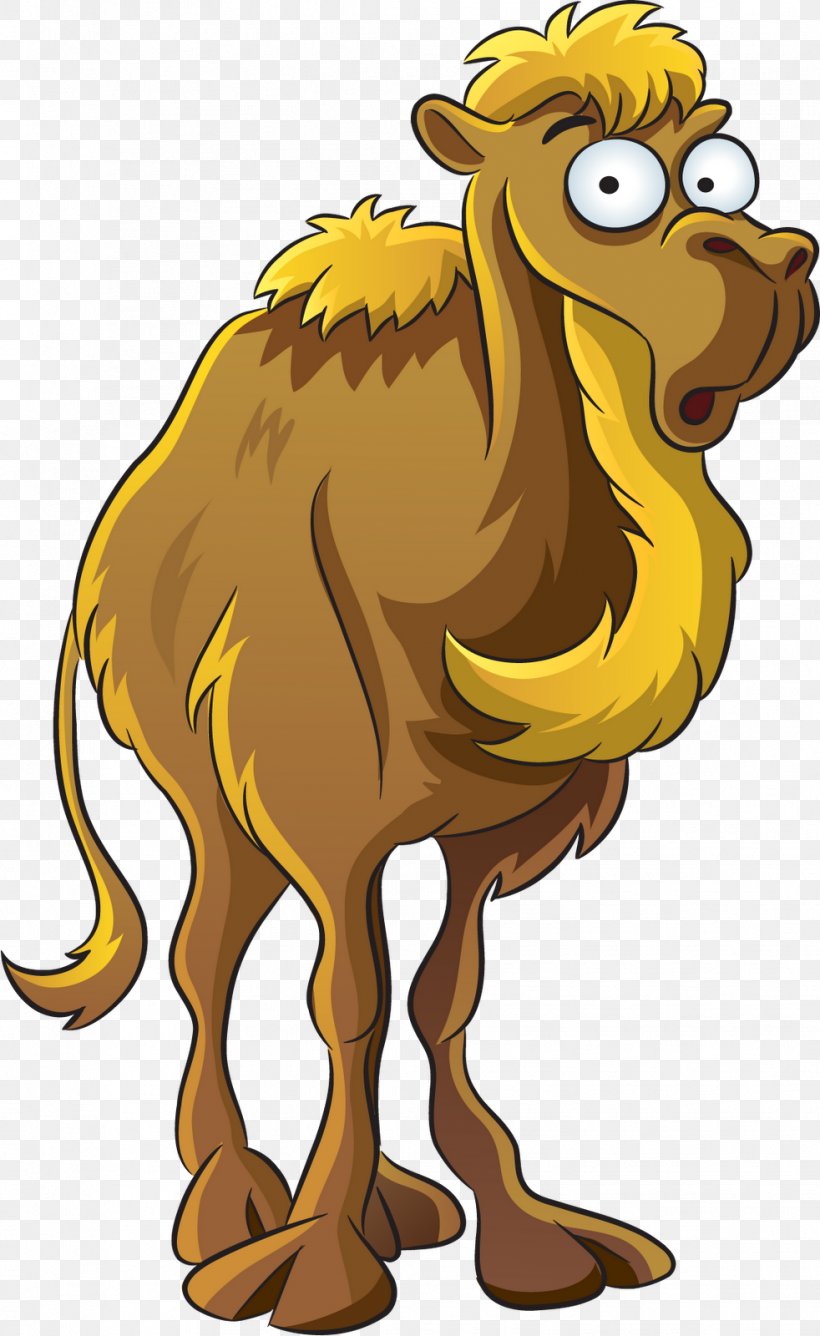 Dromedary Cartoon Royalty-free Clip Art, PNG, 982x1600px, Dromedary, Animal Figure, Beak, Camel, Camel Like Mammal Download Free