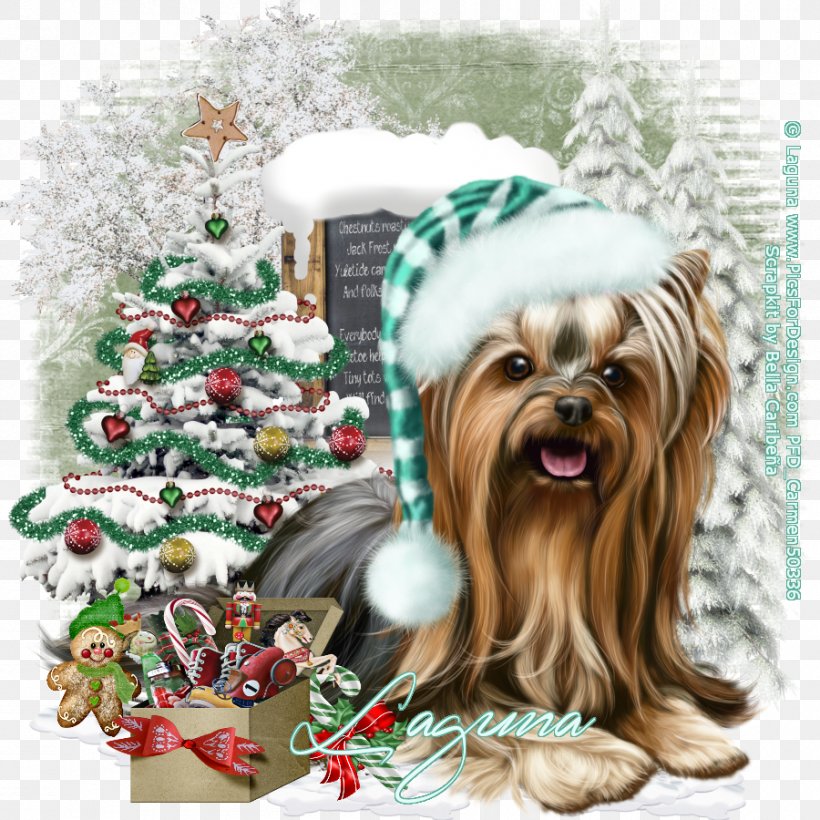 Yorkshire Terrier Puppy Dog Breed Companion Dog Toy Dog, PNG, 900x900px, Yorkshire Terrier, Breed, Carnivoran, Christmas, Christmas Decoration Download Free