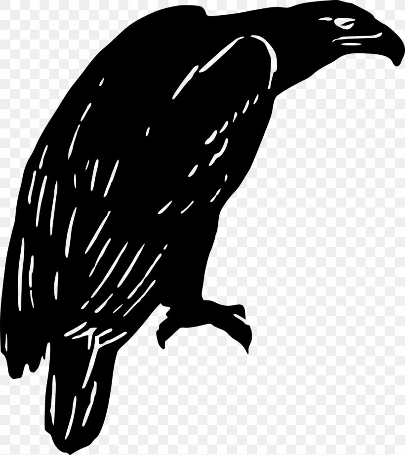 Eagle Clip Art, PNG, 1139x1280px, Eagle, Autocad Dxf, Beak, Bird, Bird Of Prey Download Free