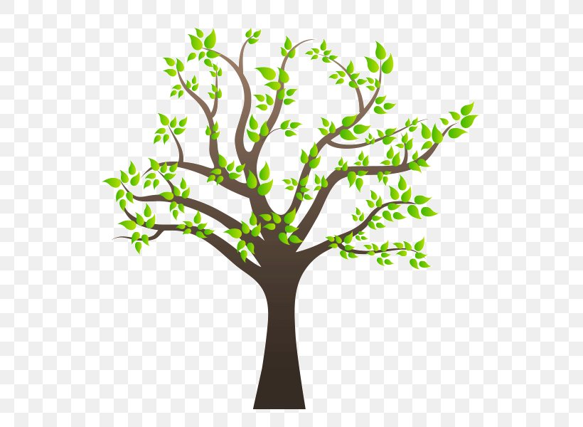 Family Tree Family Tree Clip Art, PNG, 600x600px, Tree, Birch, Branch, Drawing, Family Download Free