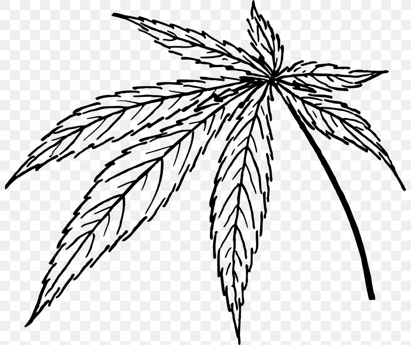 Line Art Clip Art, PNG, 800x688px, Line Art, Art, Black And White, Branch, Cannabis Sativa Download Free