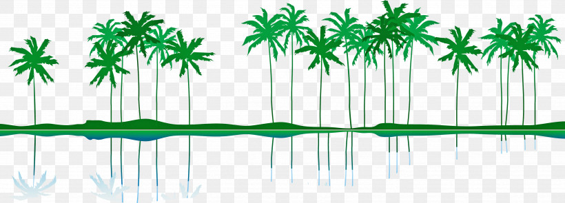 Palm Tree, PNG, 3511x1264px, Green, Arecales, Leaf, Line, Palm Tree Download Free