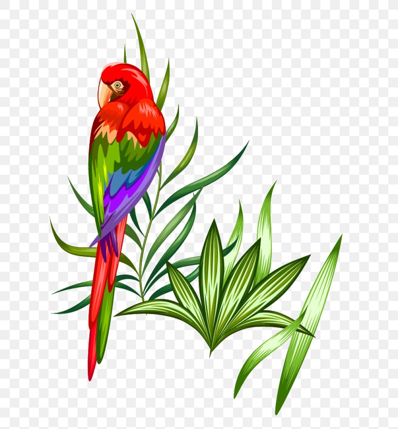 Parrot Macaw Illustration, PNG, 1025x1105px, Parrot, Art, Beak, Bird, Branch Download Free