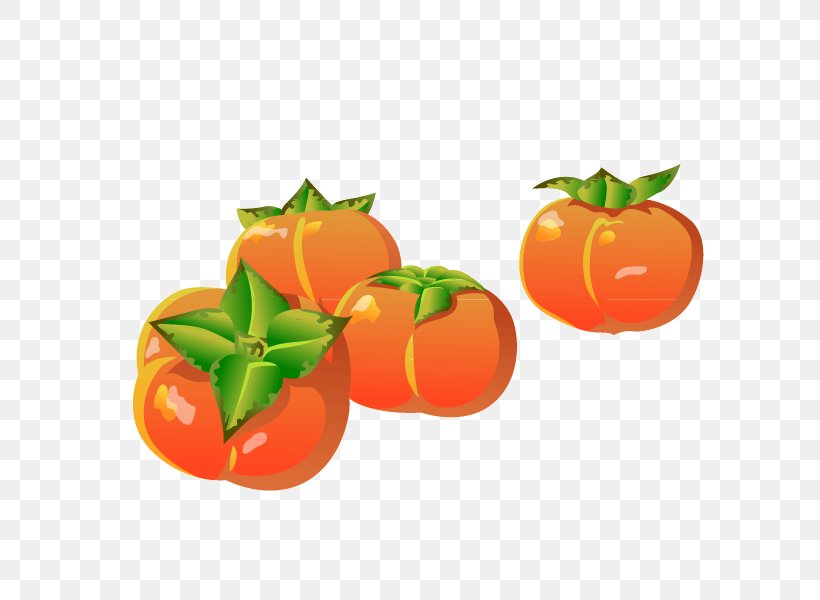 Persimmon Food Euclidean Vector, PNG, 800x600px, Vegetarian Cuisine, Animation, Cartoon, Clementine, Diet Food Download Free