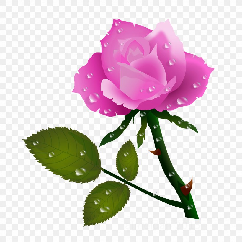 Rose Flower Clip Art, PNG, 1920x1920px, Rose, China Rose, Color, Cut Flowers, Floribunda Download Free