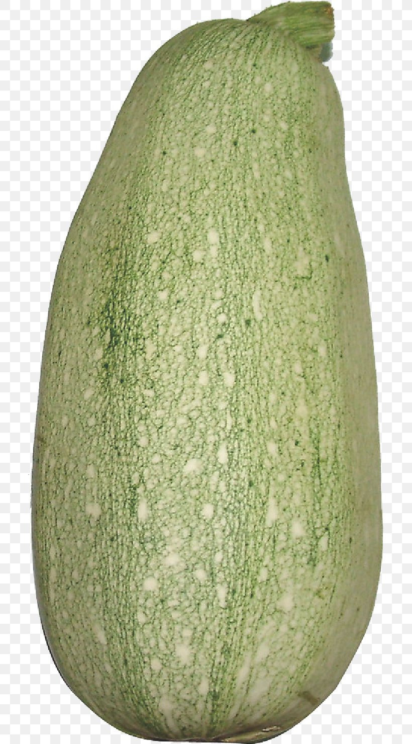 Wax Gourd Cantaloupe Melon Pumpkin, PNG, 709x1479px, Wax Gourd, Artifact, Bitter Melon, Cantaloupe, Cucumber Gourd And Melon Family Download Free
