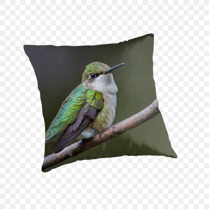 Hummingbird Throw Pillows Cushion Clip Art, PNG, 875x875px, Hummingbird, Beak, Bird, Cushion, Fauna Download Free