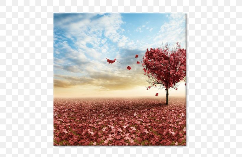 Unconditional Love Landscape Puzzles Psychology Mantra, PNG, 750x530px, Love, Emotion, Erich Fromm, Feeling, Flower Download Free