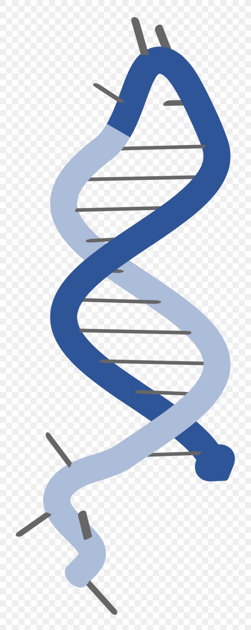 Molecular Biology Messenger RNA Research DNA, PNG, 822x2063px, Molecular Biology, Amplifikacija, Biology, Diagram, Dna Download Free