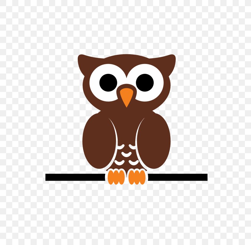 Tropical Screech Owl Cartoon Clip Art, PNG, 800x800px, Owl, Barred Owl, Beak, Bird, Bird Of Prey Download Free
