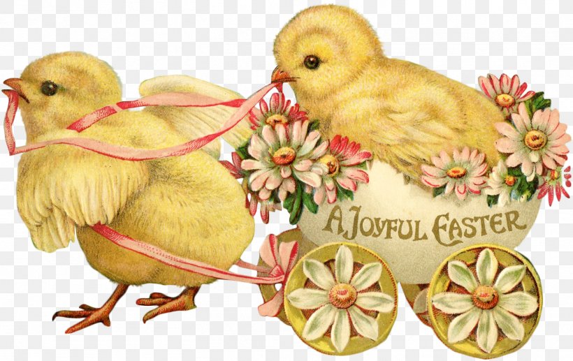 Easter Bunny Easter Postcard Greeting Card, PNG, 1452x917px, Easter Bunny, Beak, Chicken, Christmas, Christmas Card Download Free
