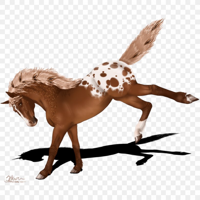 Mustang Stallion Pony Horse Tack Pack Animal, PNG, 894x894px, Mustang, Horse, Horse Like Mammal, Horse Tack, Livestock Download Free