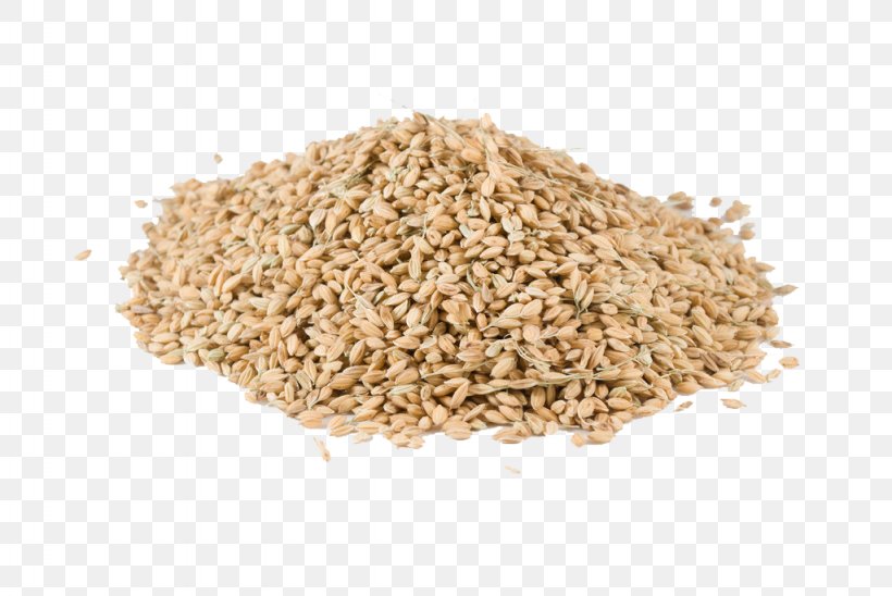 Oat Rice Oryza Sativa Cereal Crop, PNG, 1024x685px, Oat, Agriculture, Bran, Brown Rice, Cereal Download Free
