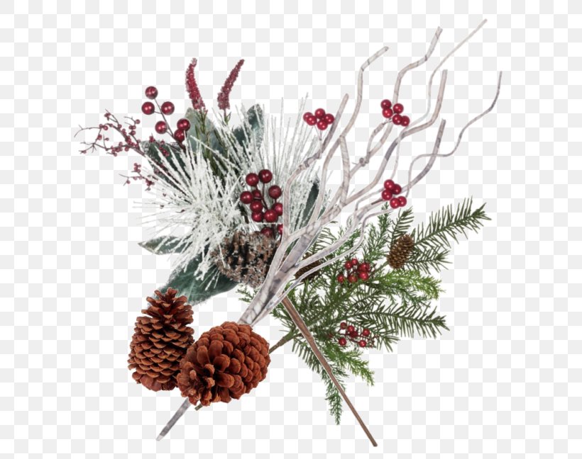 Pine Conifer Cone Spruce Christmas Ornament Fir, PNG, 615x648px, Pine, Branch, Christmas Day, Christmas Decoration, Christmas Ornament Download Free