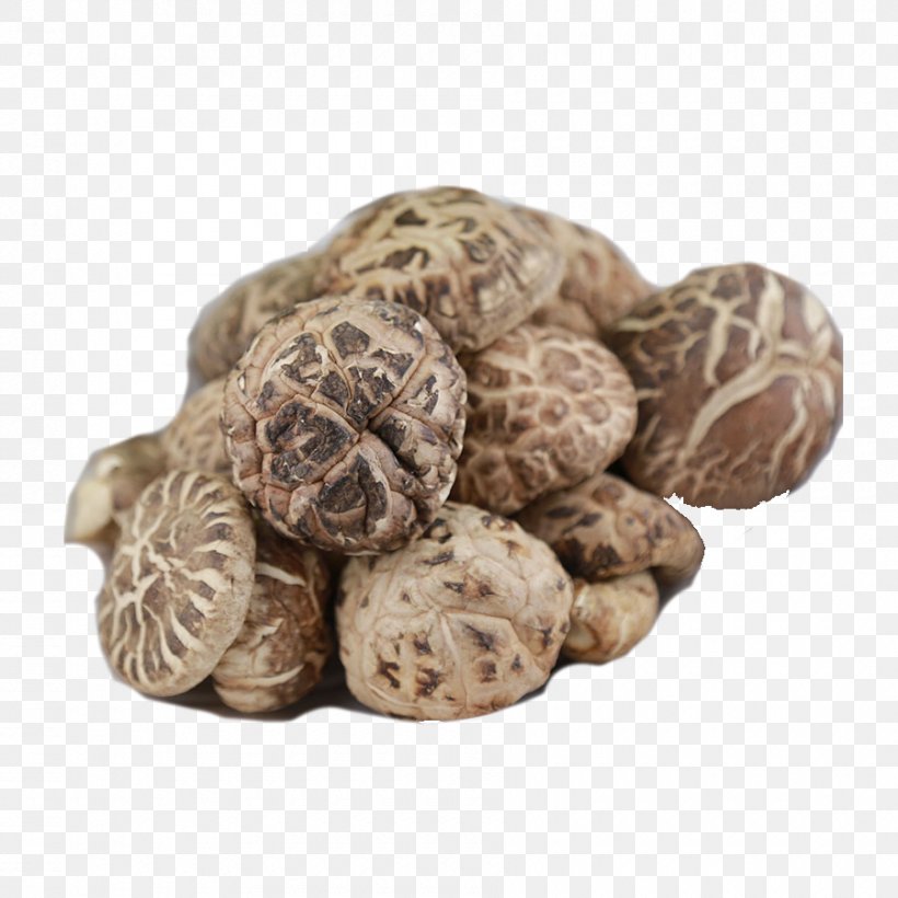 Shiitake Food Drying Chinese Cuisine Organic Food, PNG, 900x900px, Shiitake, Agaricus, Agaricus Subrufescens, Chinese Cuisine, Cordyceps Download Free