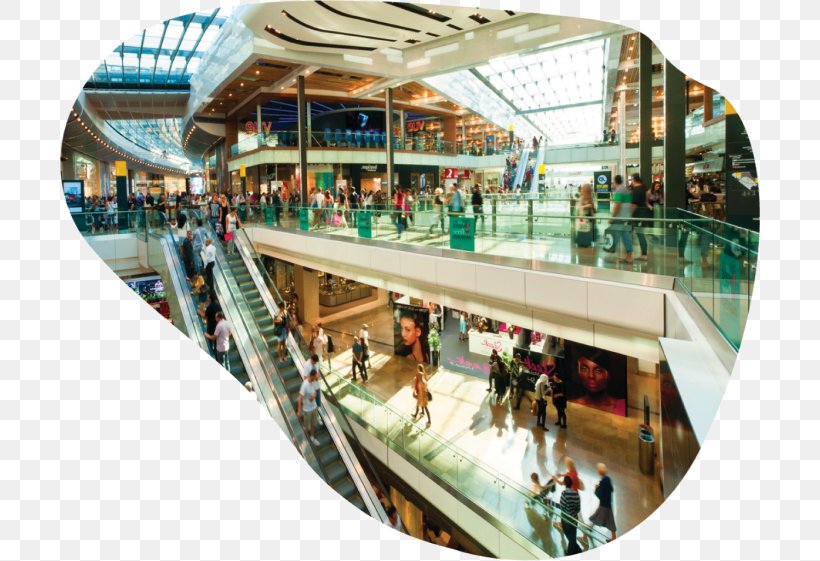 Shopping Centre Roosevelt Field Mall Of America International Council Of Shopping Centers, PNG, 700x561px, Shopping Centre, Career, Committee, Council, Europe Download Free