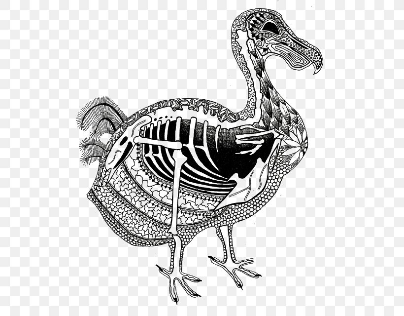 Chicken Duck Flightless Bird Dodo, PNG, 532x640px, Chicken, Anatidae, Art, Beak, Bird Download Free