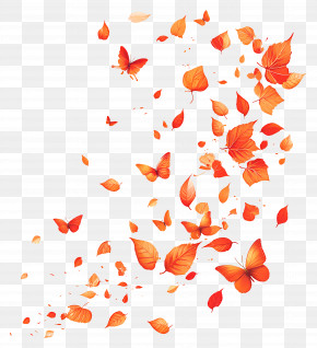 Fluttering Leaves - Autumn Leaves And Butterflies In The Wind PNG