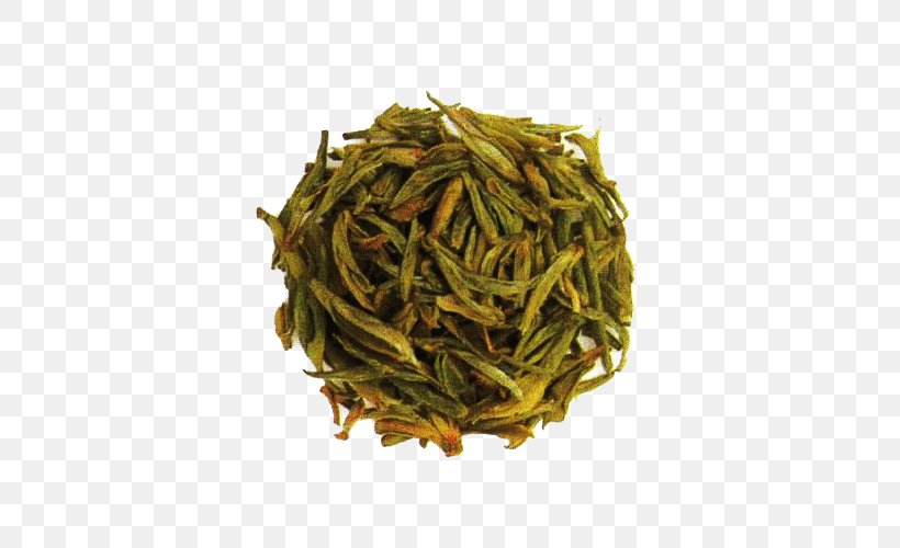 Green Tea White Tea Tieguanyin Oolong, PNG, 500x500px, Tea, Assam Tea, Bai Mudan, Baihao Yinzhen, Bancha Download Free