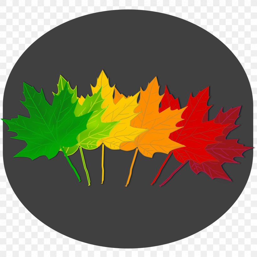 Maple Leaf Autumn Leaf Color Tree, PNG, 2400x2400px, Leaf, Autumn Leaf Color, Color, Drawing, Flag Of Canada Download Free