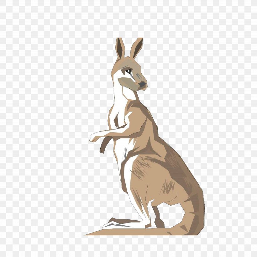 Australia Kangaroo Drawing Clip Art, PNG, 5000x5000px, Australia, Animal, Drawing, Fauna, Hare Download Free