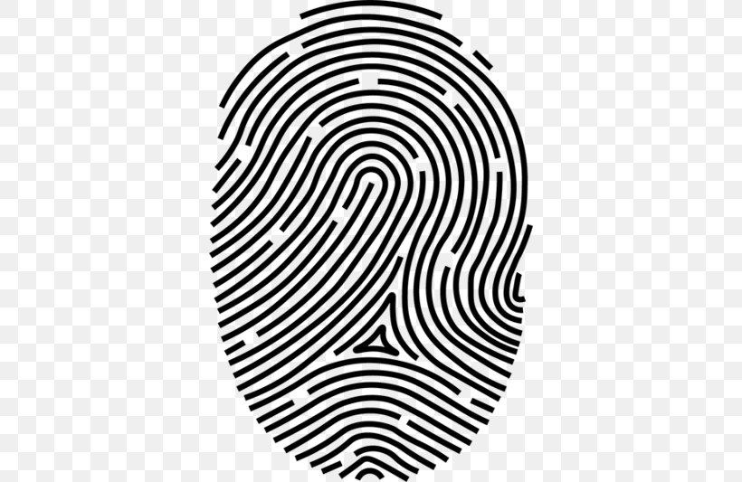 Fingerprint Transparency Vector Graphics Clip Art, PNG, 800x533px, Fingerprint, Biometrics, Blackandwhite, Fingerprint Scanner, Image Scanner Download Free