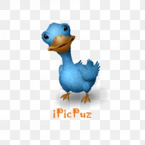 Duck Icon Images Duck Icon Transparent Png Free Download - imagesduck roblox