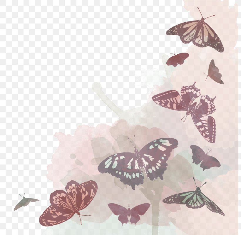 Butterfly Moth Euclidean Vector, PNG, 800x800px, Butterfly, Butterflies And Moths, Information, Insect, Invertebrate Download Free