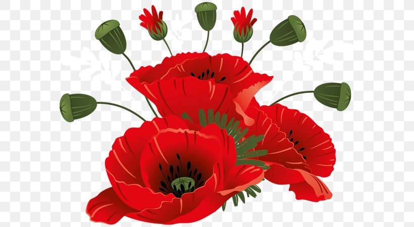 Flower Clip Art, PNG, 600x450px, Flower, Annual Plant, Coquelicot, Cut Flowers, Floral Design Download Free