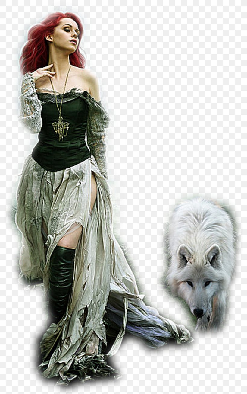 Gray Wolf Werewolf Fantasy Fantastic Art Costume, PNG, 800x1305px, Gray Wolf, Art, Black Wolf, Costume, Costume Design Download Free