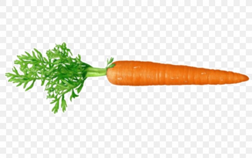 Carrot Clip Art Image Vegetable, PNG, 957x600px, Carrot, Baby Carrot, Carrot Juice, Food, Healthy Diet Download Free