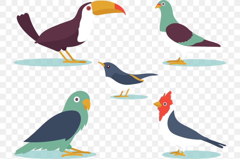 Bird Euclidean Vector Flat Design, PNG, 727x543px, Bird, Beak, Cdr, Chicken, Drawing Download Free