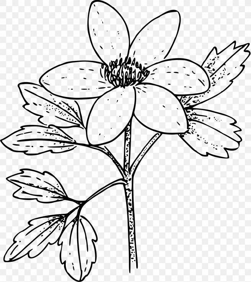 Coloring Book Anemone Nemorosa Flower Clip Art, PNG, 2134x2400px, Coloring Book, Anemone, Anemone Nemorosa, Artwork, Black And White Download Free