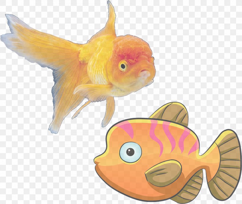 Fish Fish Goldfish Feeder Fish Fin, PNG, 943x797px, Fish, Bonyfish, Cyprinidae, Feeder Fish, Fin Download Free