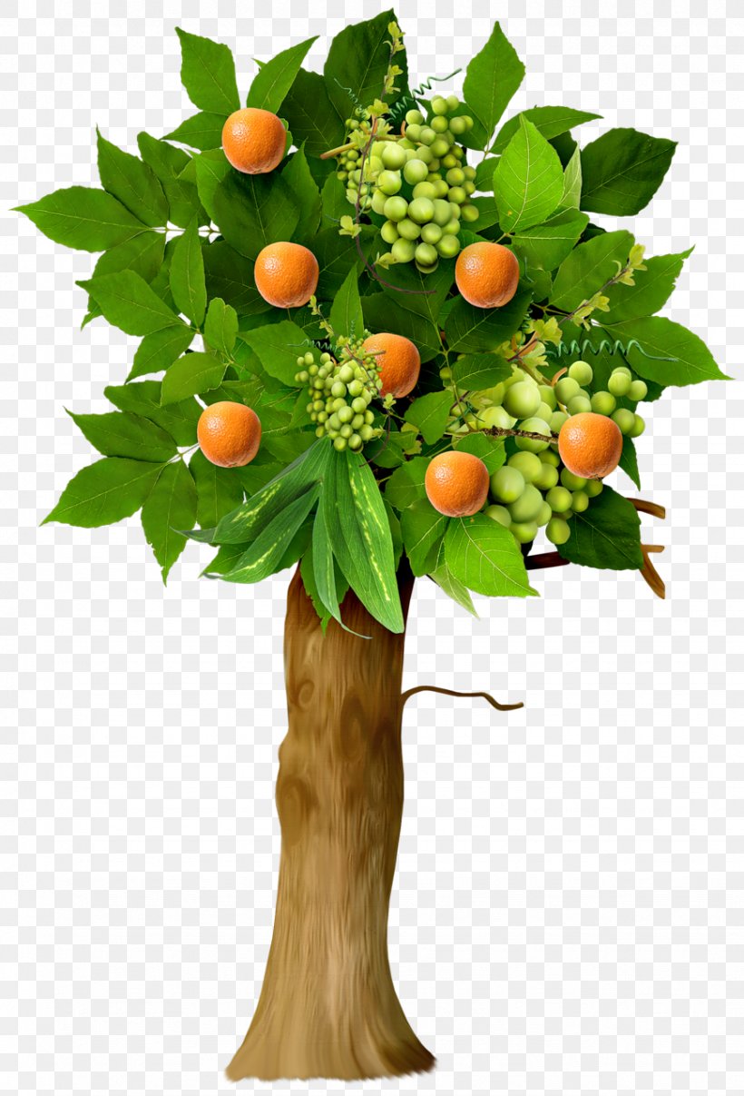 Fruit Tree Apple, PNG, 869x1280px, 2d Computer Graphics, Tree, Apple, Apples, Branch Download Free