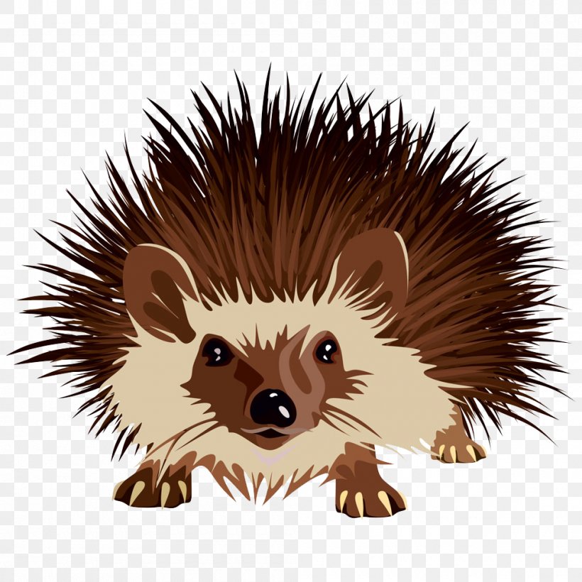 Hedgehog Euclidean Vector, PNG, 1000x1000px, Hedgehog, Adobe Fireworks, Creatures In Crisis, Desert Hedgehog, Domesticated Hedgehog Download Free