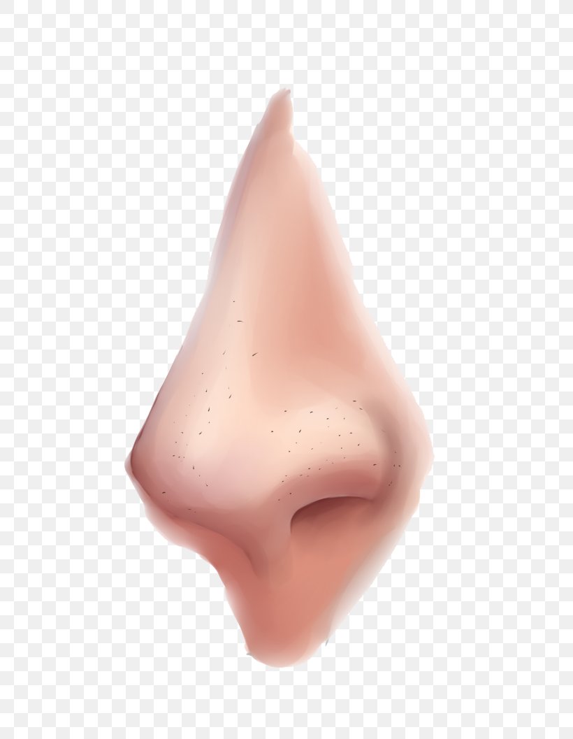Nose, PNG, 657x1057px, Nose, Close Up, Ear, Lip, Mouth Download Free