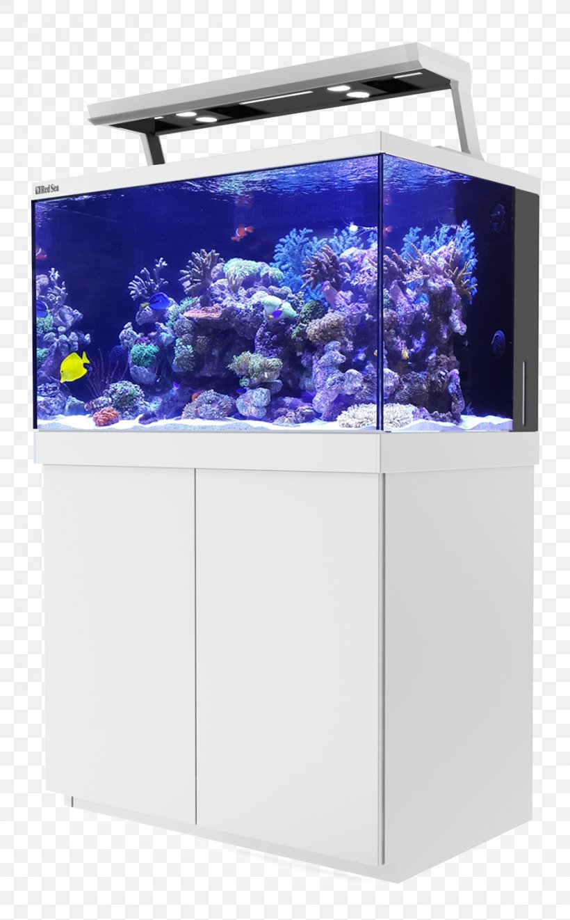 Red Sea Reefer 350 Reef Aquarium Aquariums Red Sea Reefer 450 Red Sea Reefer XL 525, PNG, 930x1500px, Red Sea Reefer 350, Aquarium, Aquarium Lighting, Aquariums, Coral Download Free