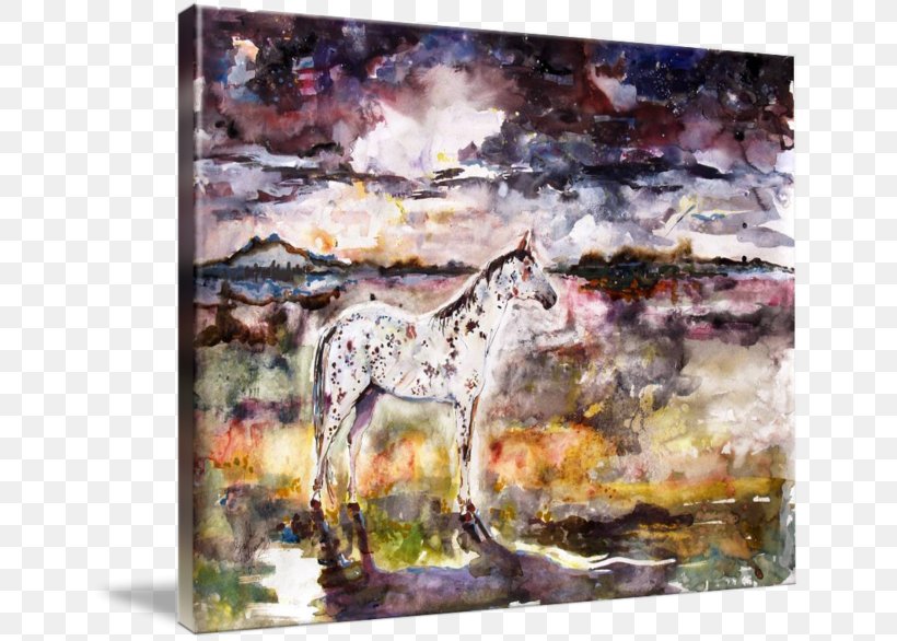 Appaloosa Spirit Watercolor Painting Mustang Gallery Wrap, PNG, 650x586px, Appaloosa Spirit, Appaloosa, Art, Canvas, Fauna Download Free