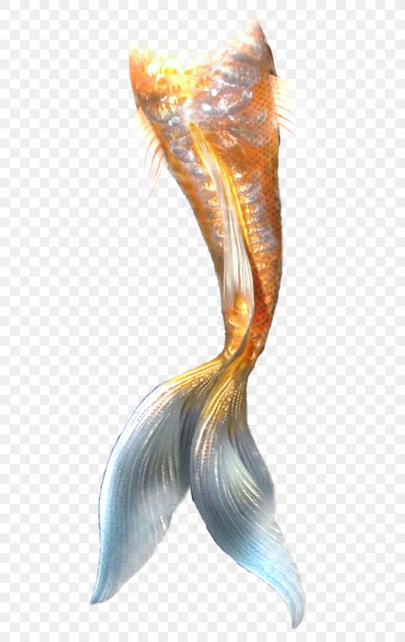 Ariel Mermaid Tail Rusalka, PNG, 864x1370px, Ariel, Fish, Merliah Summers, Mermaid, Microsoft Paint Download Free