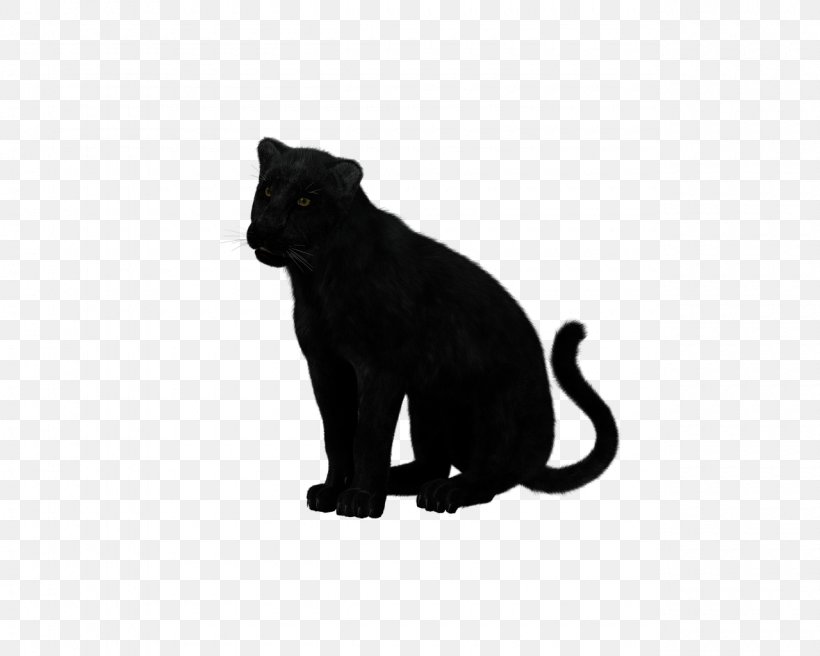 Black Panther Felidae Cat Leopard Cougar, PNG, 1280x1024px, Black Panther, Animal, Animal Figure, Big Cat, Big Cats Download Free